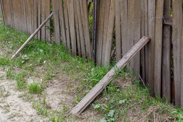 fence removal