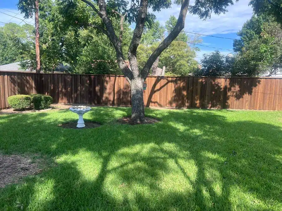 Custom Fence