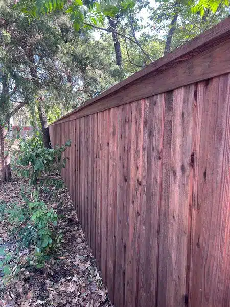 Fence Staining