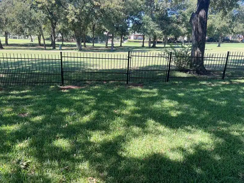 Dog Fence